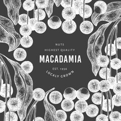 Hand drawn macadamia branch and kernels design template. Organic food vector illustration on chalk board. Vintage nut illustration. Engraved style botanical banner.