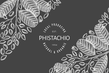 Hand drawn phistachio branch and kernels design template. Organic food vector illustration on chalk board. Retro nut banner.