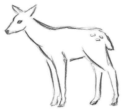 Hand pencil drawn deer. Fantasy map creator.