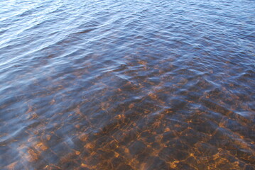 The surface of clear water with small waves. A close-up of a clear river water with a brown bottom from the sand. The reflections of the sun's rays paint the bottom of the river in golden tones.