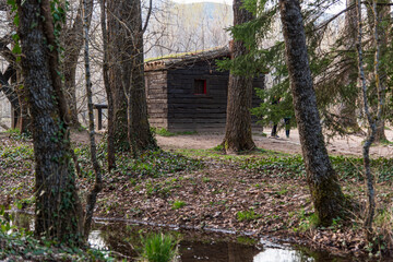 caba&ntilde;a de madera en el bosque 