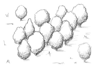 Hand pencil drawn forest. Fantasy map creator.