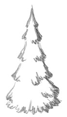 Fototapeta na wymiar Hand pencil drawn pine tree. Fantasy map creator.