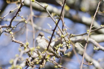 Un oiseau dans un parc