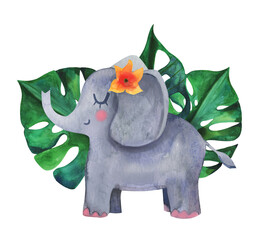 Cute elephant African character hand drawn in watercolor. Tropical monstera green leaves on the background with a flower in cartoon style clip art.