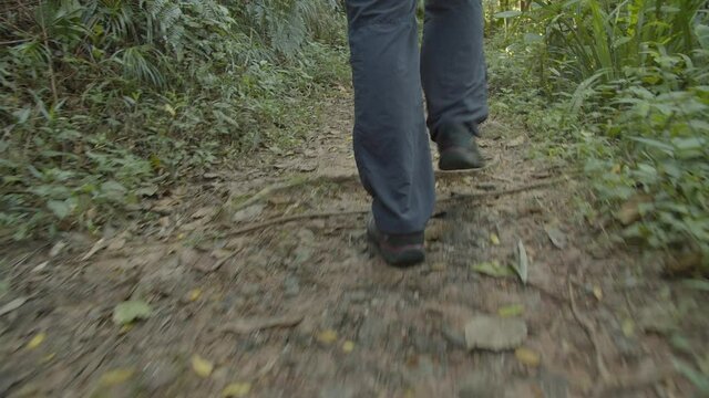 Close de botas caminhando na floresta / Close-up of boots walking in the forest	
