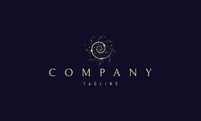Vector logo on which an abstract image of a galaxy in open space with a spiral inside.