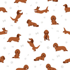 Dachshund long haired seamless pattern. Different poses, coat colors set.