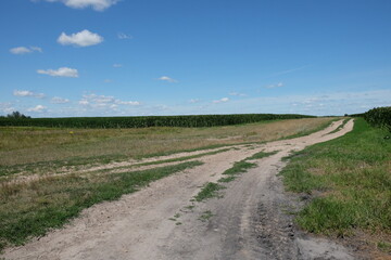 Fototapeta na wymiar Long dirt road in a field under a blue sky. Scenery.