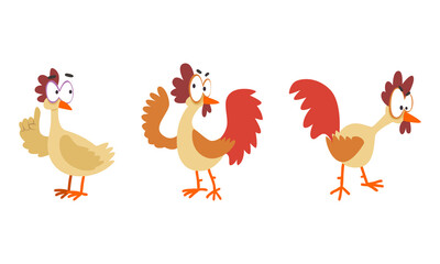 Funny Hen in Various Poses Set, Farm Bird Cartoon Character Cartoon Vector Illustration