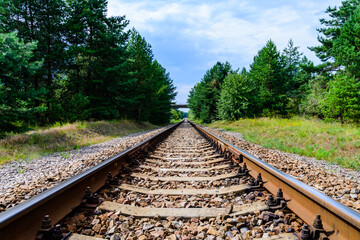 Obraz premium Old railroad in forest on summer