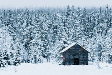 Old barn in snowcovered forest