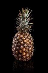 fresh pineapple on a black background