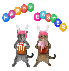 Two cats in pink easter bunny hats hold easter cakes. Happy easter. White background. Isolated.