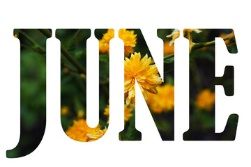 Text JUNE from nature flowers background isolated on white