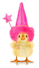 Cute cool chick good fairy tale with hat and magic wand funny conceptual image 