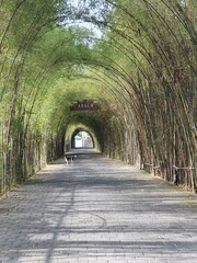 Fototapeta na wymiar tunnel in the park