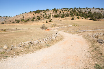 a gravel road on a summer landscape next to Calatanazor, province of Soria, Castile and Leon, Spain