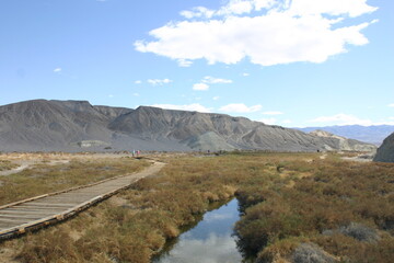 Fototapeta na wymiar Salt Creek Pup Fish Habitat in Death Valley, California, with the Boardwalk to Protect the Desert Pupfish habitat and the Wetland in the Right Frame