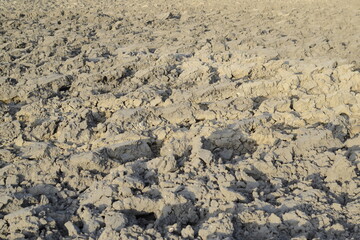 plowed field background