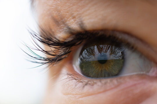 Macro Eye With Green Iris And Long Black Lashes. Good Or Bad Vision, Ophthalmology Concept And Eye Health