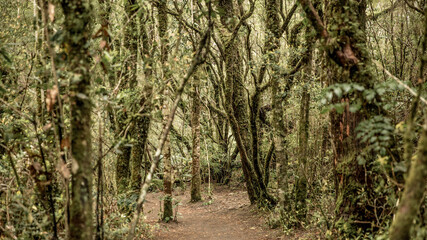 Fototapeta premium Refugio al Aire Libre