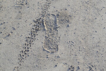 tire tracks and footsteps in the dirt