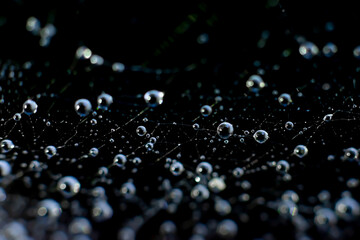 Blue toned natural backdrop made of spiderweb.Abstract background made of macro photo of round  waterdrops sparkling on light with blurred bokeh effect