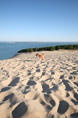 Dune du Pyla