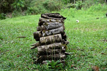 Obraz premium Stack of firewood.