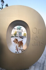 Chien &agrave; Orl&eacute;ans 