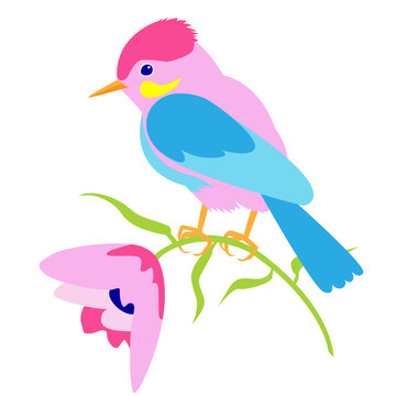 stock vector image on a white background. Color spring illustration with a bird and pink flowers. a bird sits on a flower. summer illustration in the flat style. image for postcards and printing.