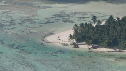 palm trees close to the ocean with turquoise water aerial view