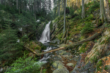 Bila strz waterfall on Bily creek in Sumava national park