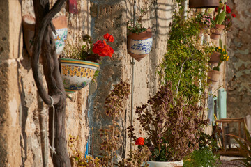 Fototapeta na wymiar decorated terracotta pots hang on the walls with colored plants
