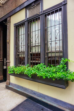 Window with bars and flower boxes
