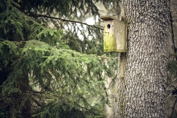 Birdhouse on a tree trunk