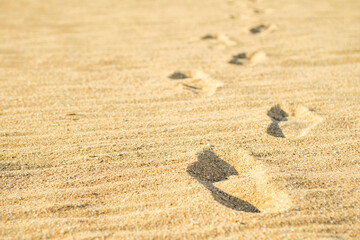 Fototapeta na wymiar Barefoot footprints on the beach. Rootprints in the sand. Beach walk