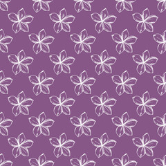 Vector seamless pattern with hand drawn frangipani flowers. Can be used for greeting cards, flyers, invitations, web design, etc