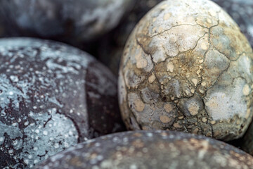 Easter eggs