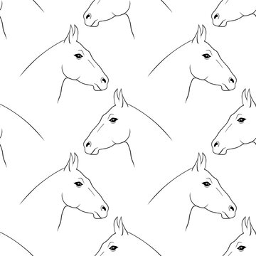The horse's head. A horse seamless background. A hand drawing, and outline. Isolated on a white background