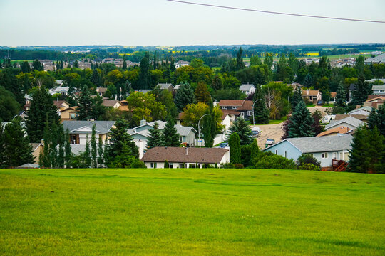 Hillside, overlooking town, trees