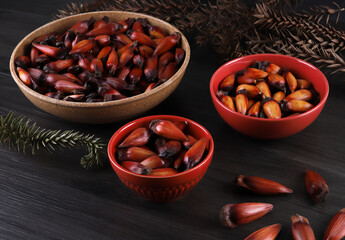 Typical araucaria seeds used as a condiment in Brazilian cuisine in winter. Brazilian pinion nuts in brown and red wooden bowl on gray wooden background