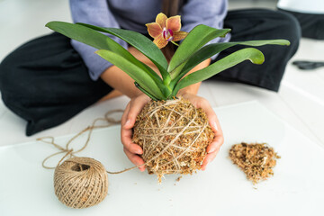 Kokedama plant DIY woman making orchid japanese air floating ball with sphagnum moss and jute rope. Gardening at home.