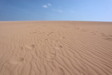 Footsteps on a beige sand dune in Taroa la guajira colombia with a blue sky, walking in the heat in a dry and sunny day in the desert 