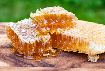 honey and honeycombs. just from the bee hive. close-up photography. - obrazy, fototapety, plakaty