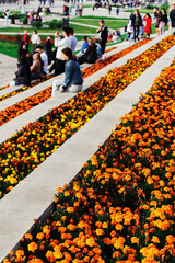 Orange flowers on a city street. Improvement and decoration of public places. Vertical photo. Spring season