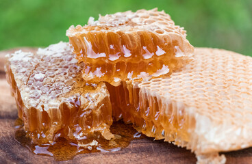 honey and honeycombs. just from the bee hive. close-up photography. - obrazy, fototapety, plakaty