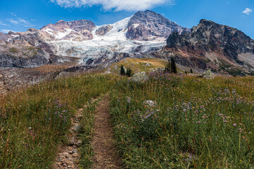 Fototapeta na wymiar Wonderland Trail, Emerald Ridge, Mount Rainier National Park