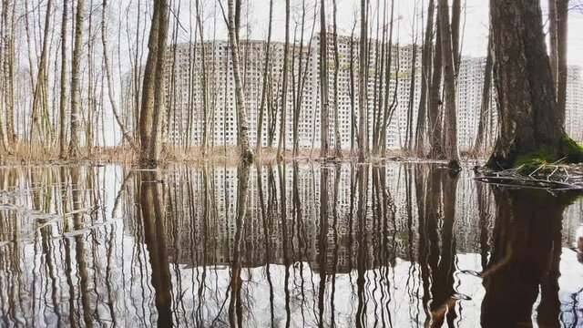 Construction of the high floor house, View from park through trees standing in water, slow movement of a video camera, concrete blocks without windows and facade finishing, cloudy weather